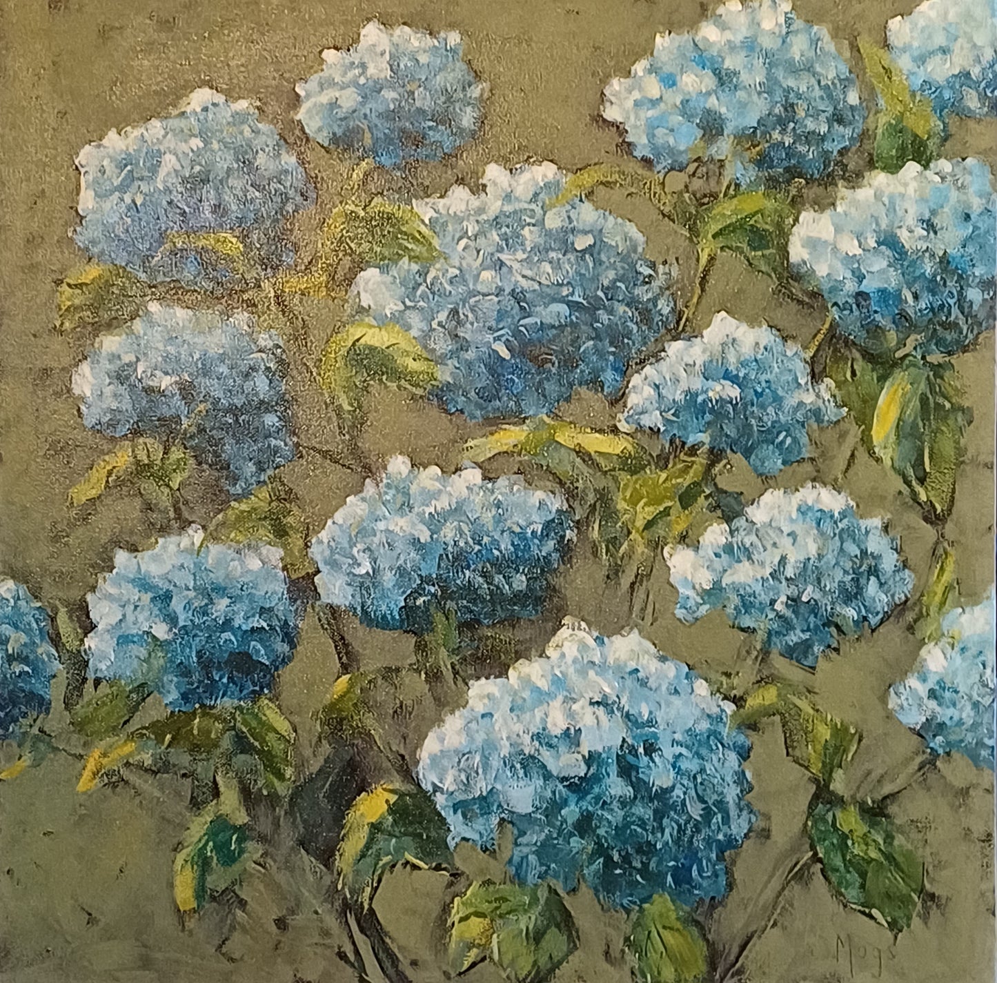 Blue hydrangeas