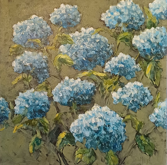 Blue hydrangeas