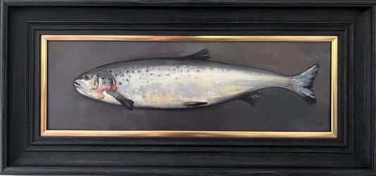Atlantic Salmon