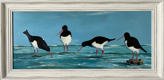 Oyster catchers feeding