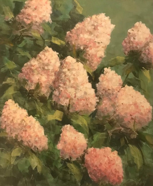 Pale pink hydrangeas