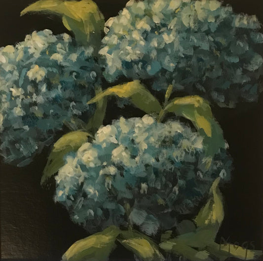 Three blue hydrangeas